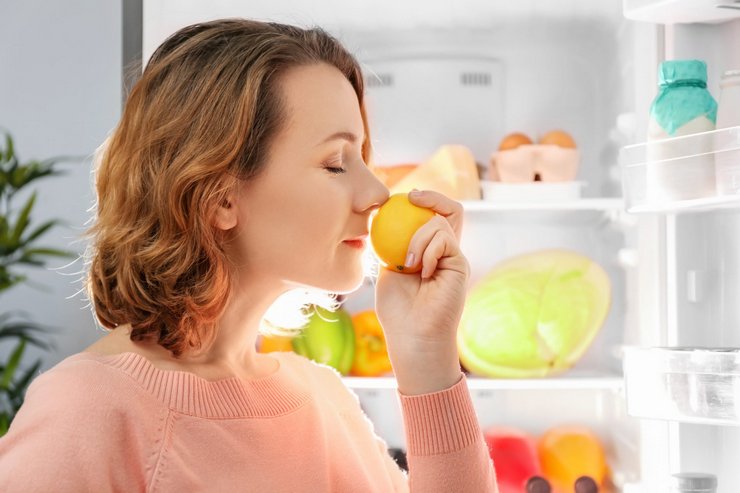 Народные рецепты для быстрого избавления от запаха в холодильнике